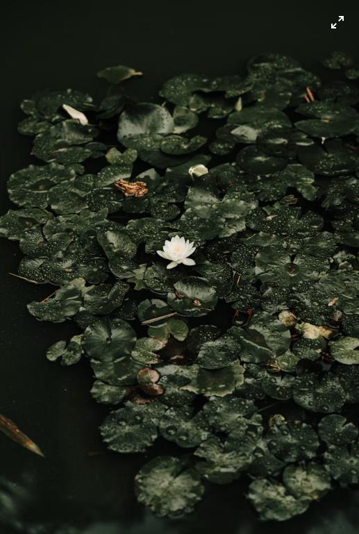 360截图20250822013113959