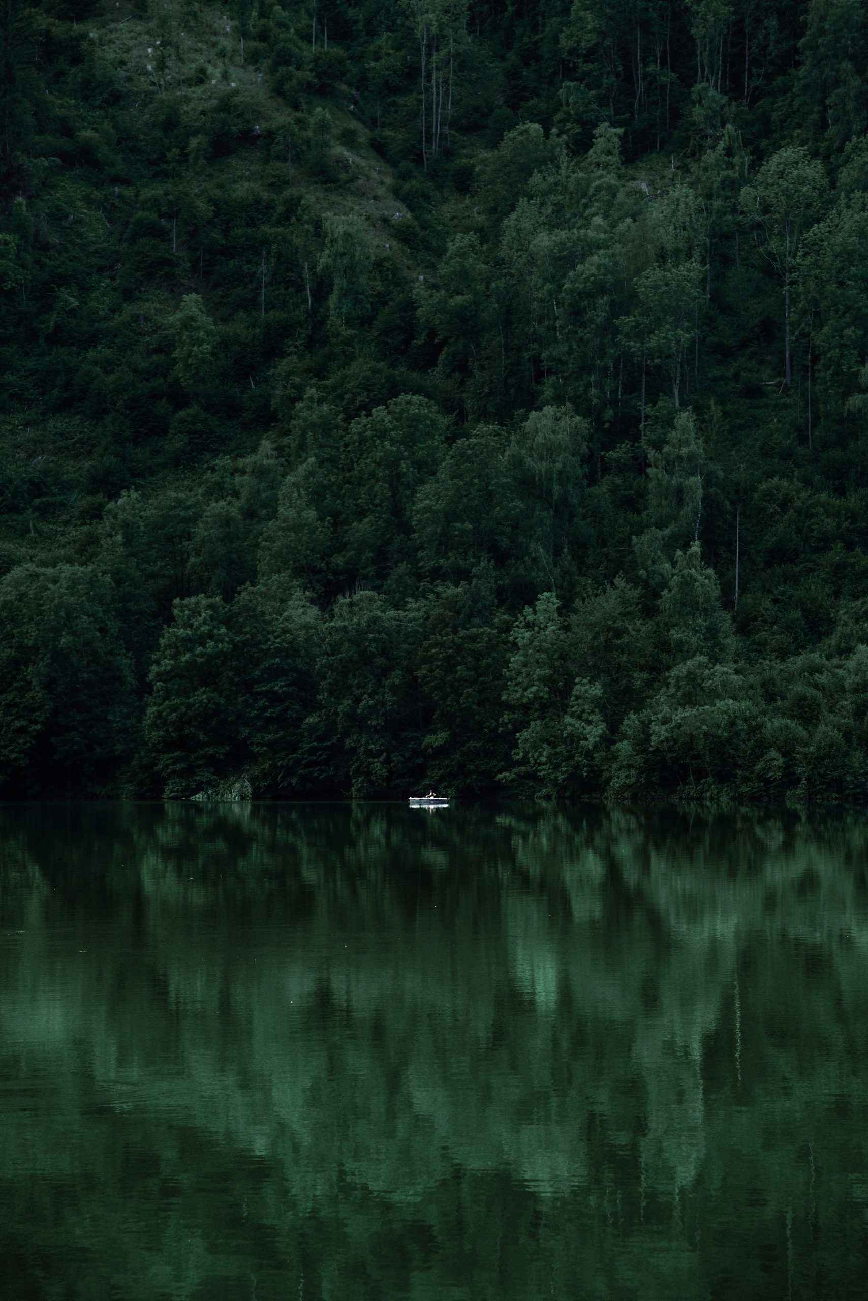 elif koyuturk unlirqlmbdg unsplash