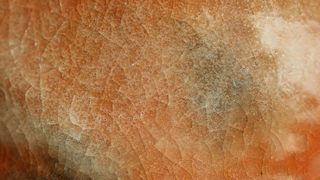 tim johnson y1pwmewupbu unsplash